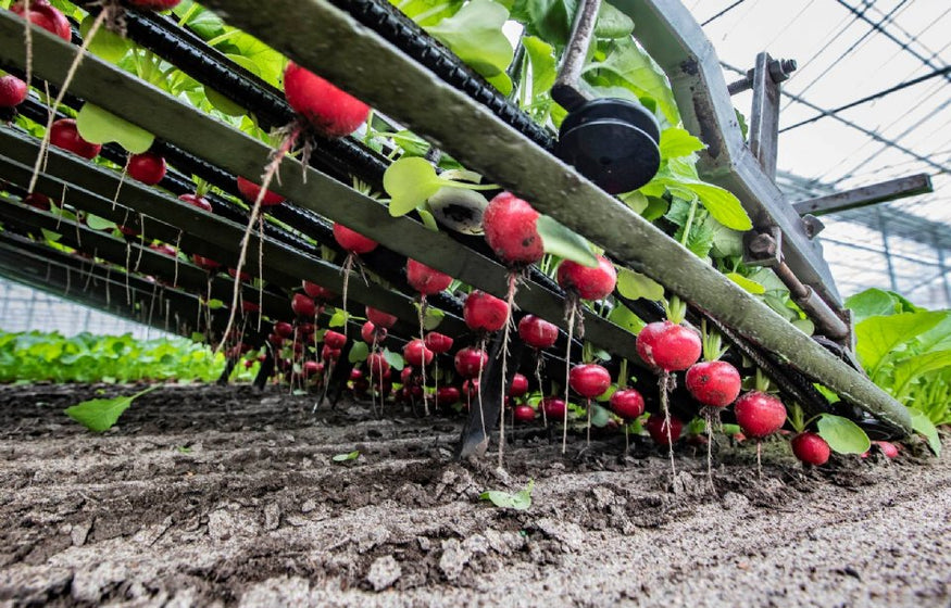 Yilmaz Radijs - Poeldijk