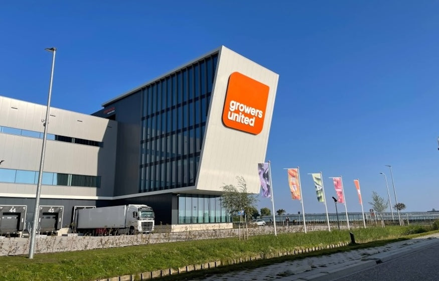 Growers United - Maasdijk