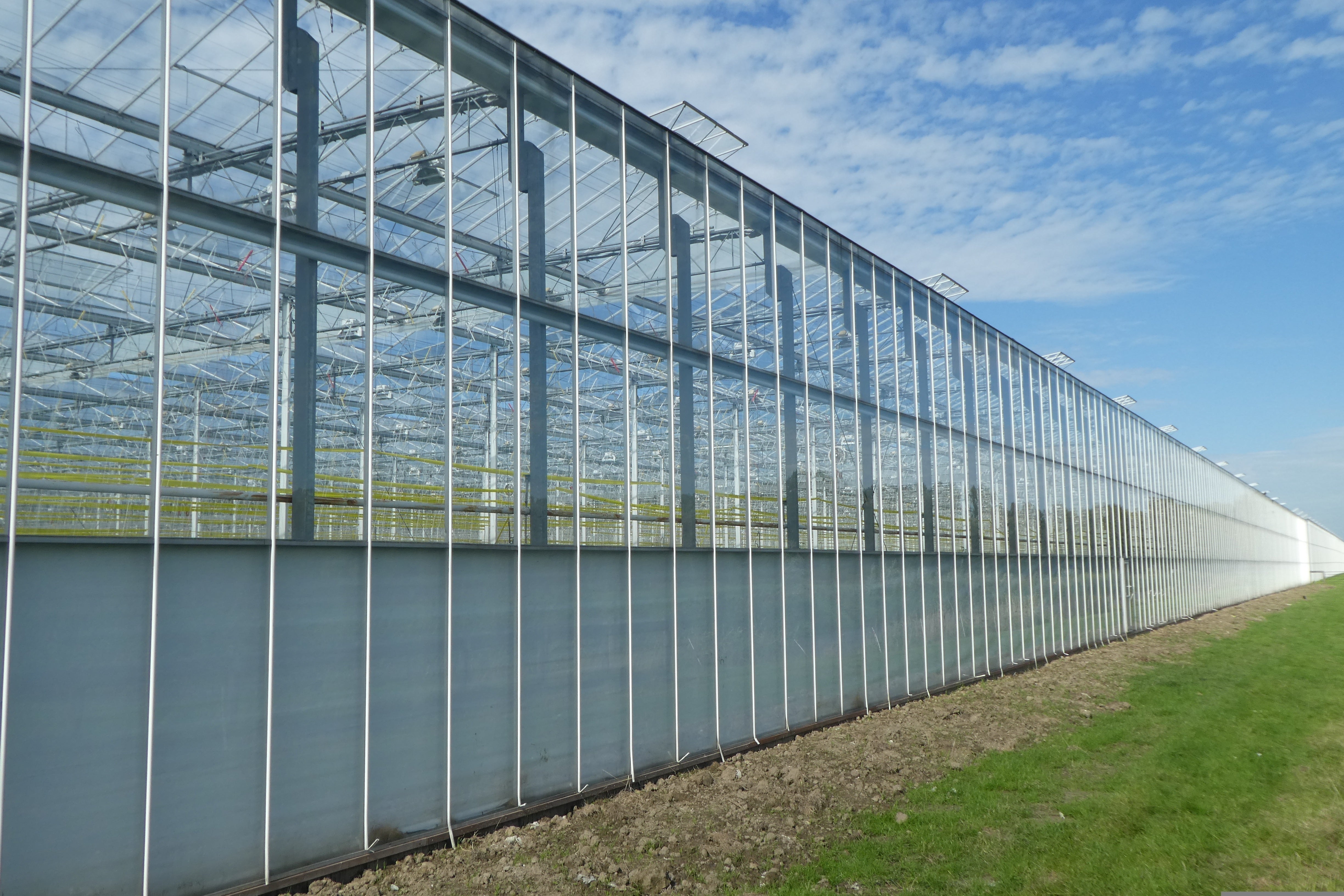 SIG&F-subsidie: ook voor batterijen en elektrificering in de tuinbouw